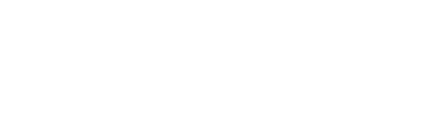Twindor Casino Software Netent